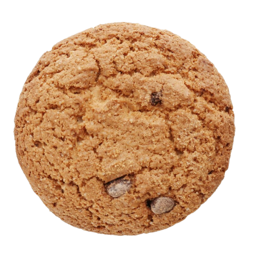 Normal Biscuit